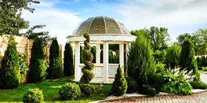 gallery-02